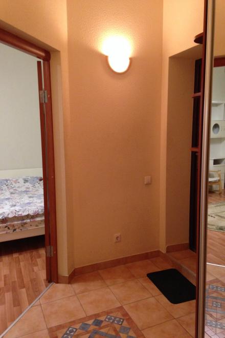1-комнатная квартира посуточно (вариант № 3552), ул. Некрасова улица, фото № 5
