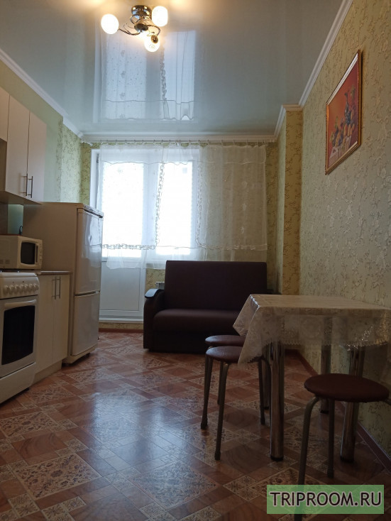 1-комнатная квартира посуточно (вариант № 28254), ул. Юлиуса Фучика улица, фото № 14